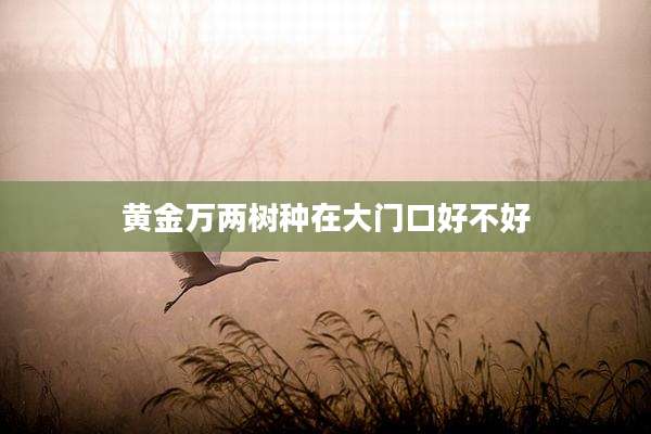 黄金万两树种在大门口好不好