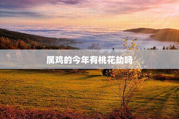 属鸡的今年有桃花劫吗