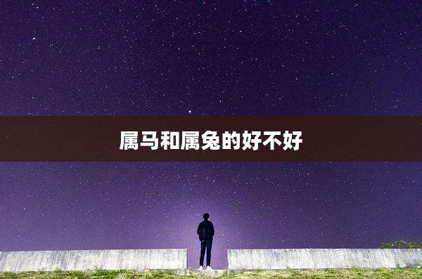 属马和属兔的好不好