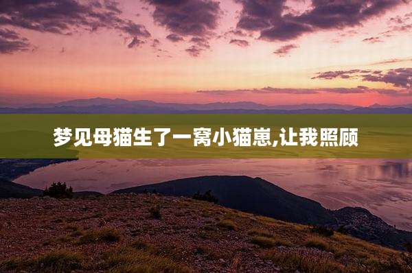 梦见母猫生了一窝小猫崽,让我照顾