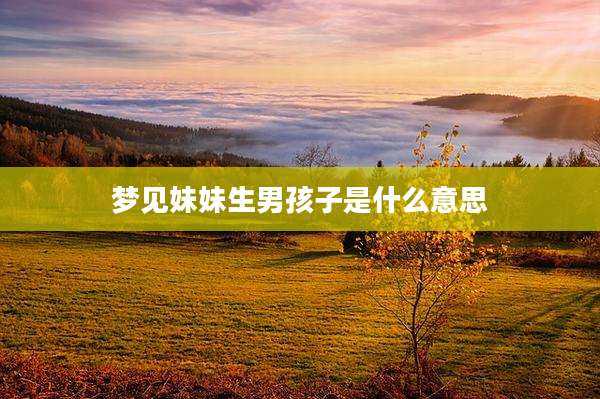 梦见妹妹生男孩子是什么意思