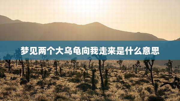 梦见两个大乌龟向我走来是什么意思