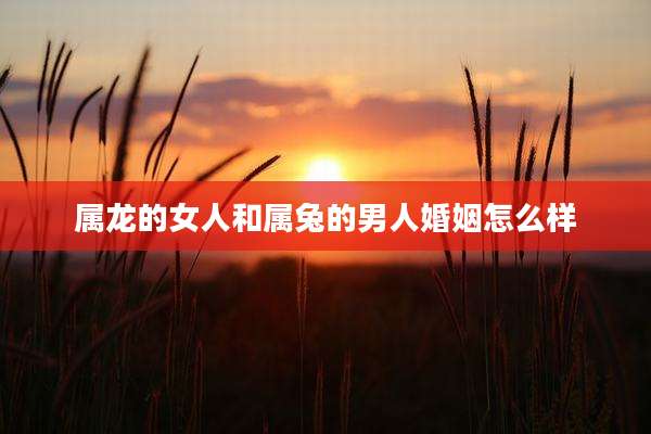 属龙的女人和属兔的男人婚姻怎么样