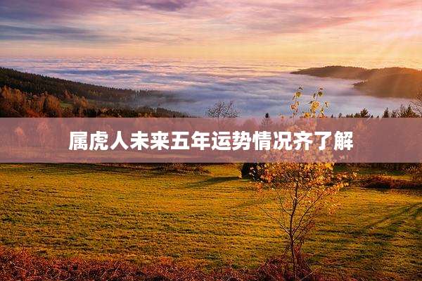 属虎人未来五年运势情况齐了解