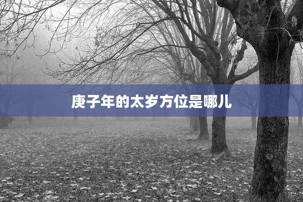 庚子年的太岁方位是哪儿