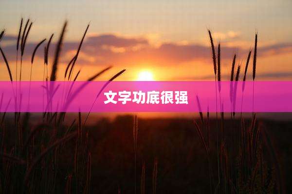 文字功底很强