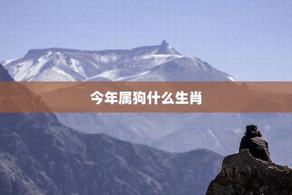今年属狗什么生肖