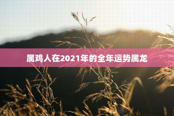 属鸡人在2021年的全年运势属龙