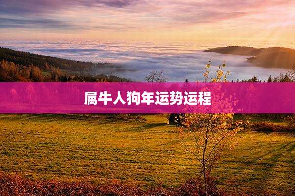 属牛人狗年运势运程