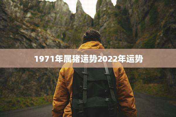 1971年属猪运势2022年运势