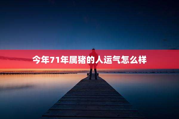 今年71年属猪的人运气怎么样