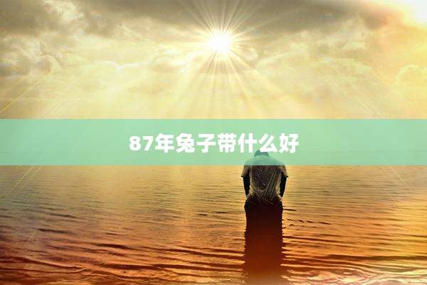 87年兔子带什么好