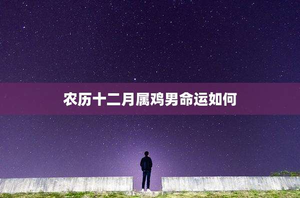 农历十二月属鸡男命运如何