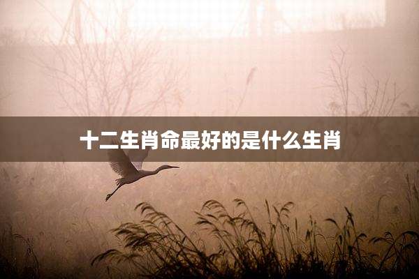 十二生肖命最好的是什么生肖