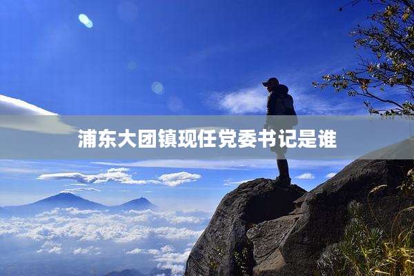 浦东大团镇现任党委书记是谁