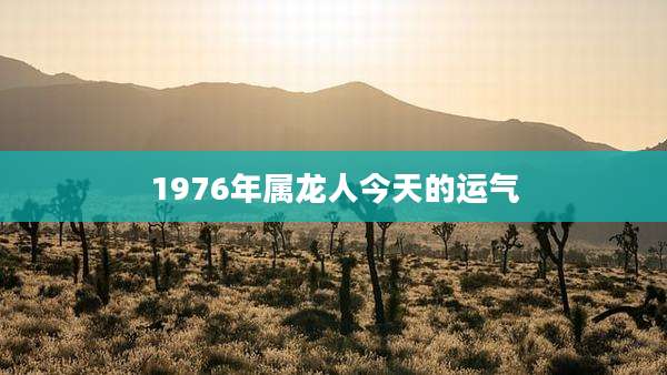 1976年属龙人今天的运气