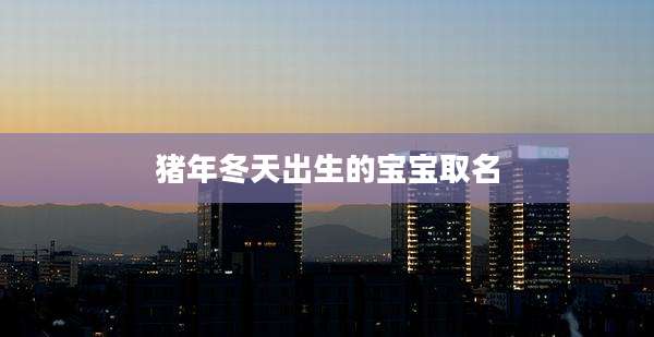猪年冬天出生的宝宝取名