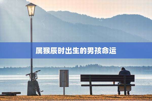 属猴辰时出生的男孩命运