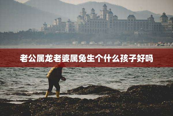 老公属龙老婆属兔生个什么孩子好吗