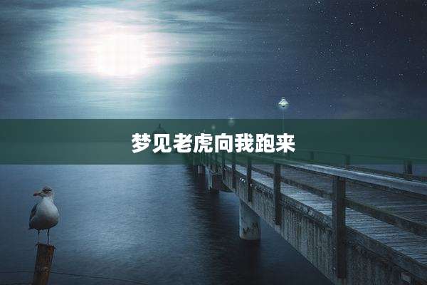 梦见老虎向我跑来
