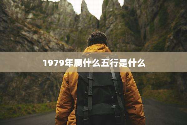 1979年属什么五行是什么