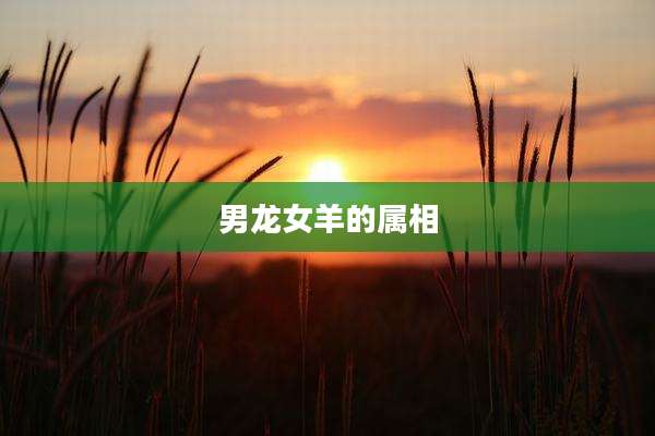 男龙女羊的属相