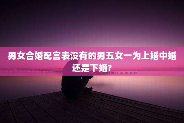 男女合婚配宫表没有的男五女一为上婚中婚还是下婚?
