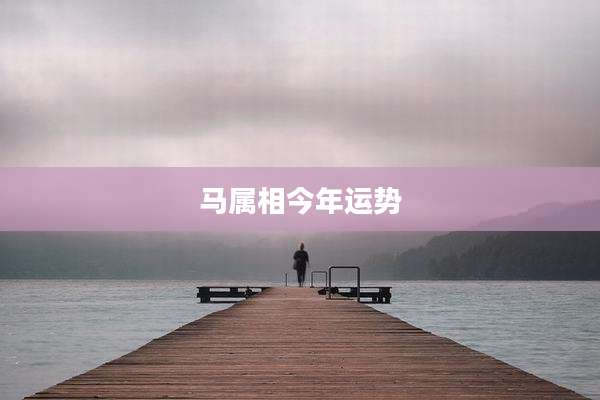 马属相今年运势