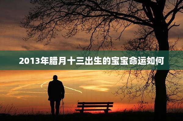 2013年腊月十三出生的宝宝命运如何