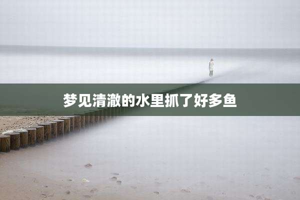 梦见清澈的水里抓了好多鱼