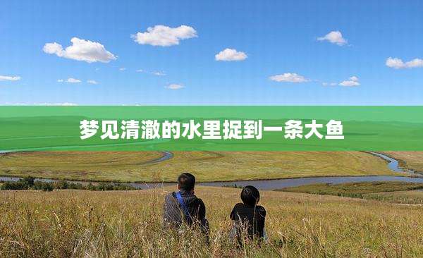 梦见清澈的水里捉到一条大鱼