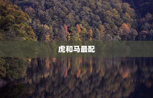 虎和马最配