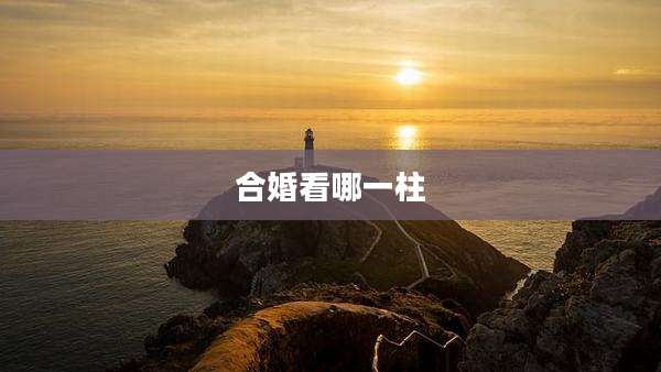 合婚看哪一柱
