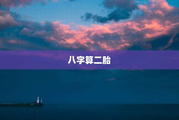八字算二胎