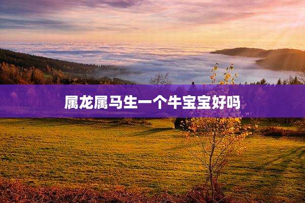 属龙属马生一个牛宝宝好吗