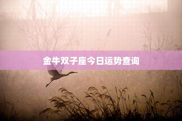 金牛双子座今日运势查询
