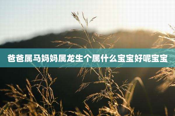 爸爸属马妈妈属龙生个属什么宝宝好呢宝宝
