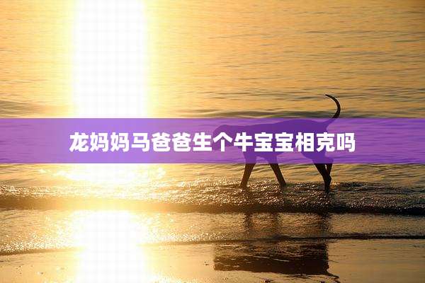 龙妈妈马爸爸生个牛宝宝相克吗