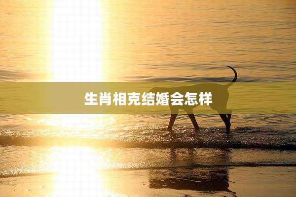 生肖相克结婚会怎样