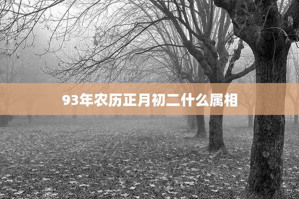93年农历正月初二什么属相