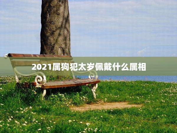 2021属狗犯太岁佩戴什么属相