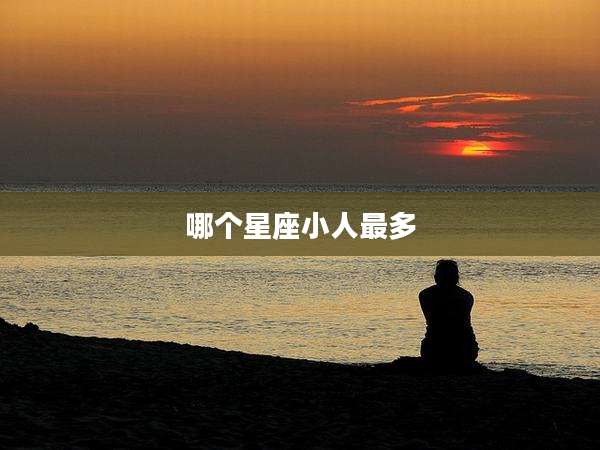 哪个星座小人最多