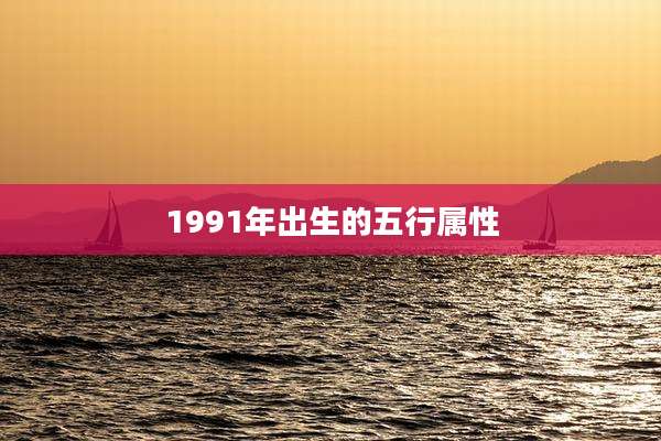 1991年出生的五行属性