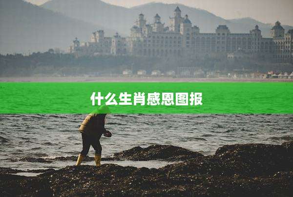 什么生肖感恩图报