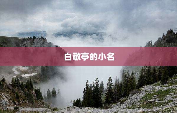 白敬亭的小名
