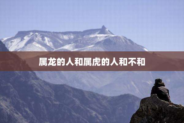属龙的人和属虎的人和不和