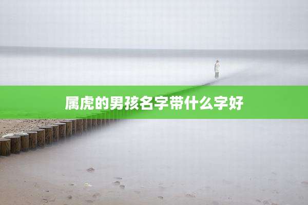 属虎的男孩名字带什么字好