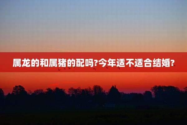 属龙的和属猪的配吗?今年适不适合结婚?