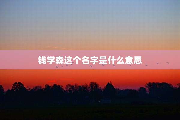 钱学森这个名字是什么意思