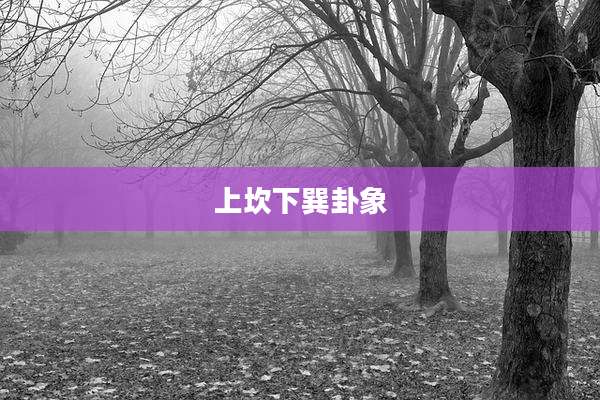 上坎下巽卦象